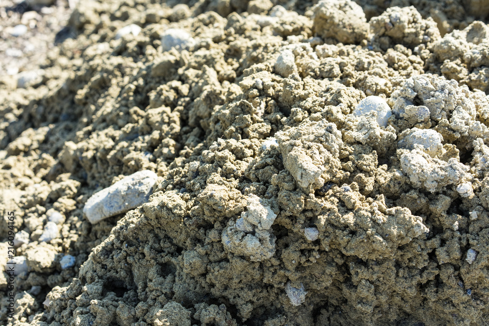 pile of earth in garden pile of earth in garden
