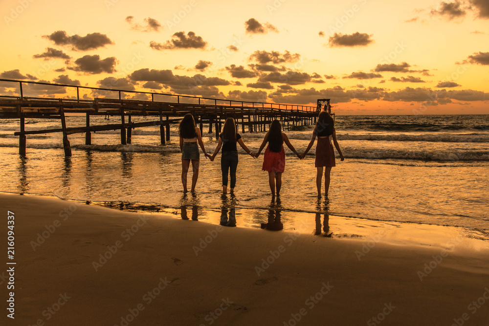 Fototapeta premium friends on the beach