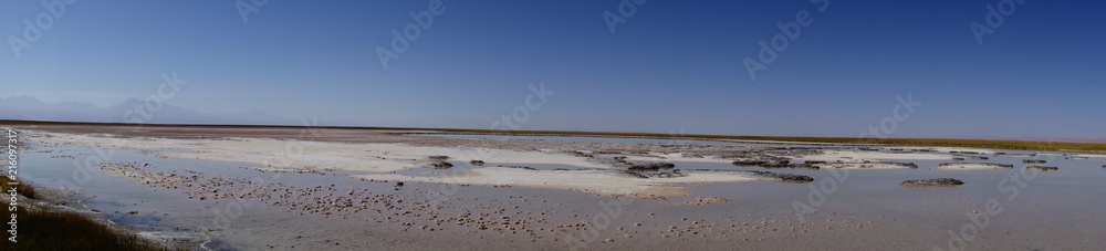 Salzsee in der Wüste vor Vulkan-Kulisse