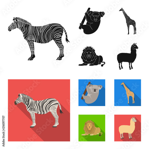 African zebra, animal koala, giraffe, wild predator, lion. Wild animals set collection icons in black, flat style vector symbol stock illustration web. photo