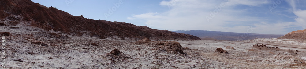 Wüstenlandschaft mit Salz-Steppe 