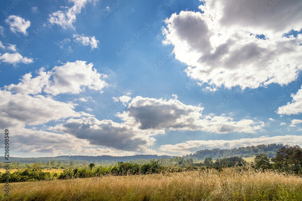 Beautiful landscape of Thung Salaeng Luang National Park, Savanna in National Park of Thailand