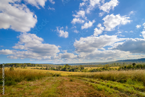 Beautiful landscape of Thung Salaeng Luang National Park, Savanna in National Park of Thailand