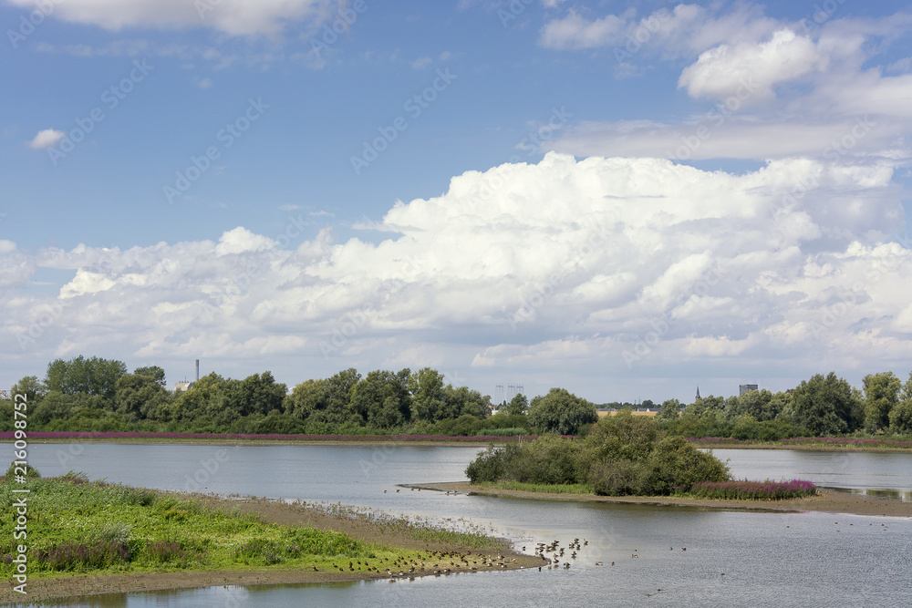 Scenic view on the polder with the Oude Waal and the Groenlanden in the Ooijpolder near Nijmegen. province Gelderland in the Netherlands. Beautiful landscape, nice weather, blue sky and white clouds