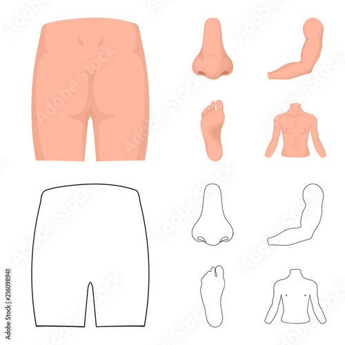 Buttocks, nose, arm, foot. Part of the body set collection icons in cartoon,outline style vector symbol stock illustration web.
