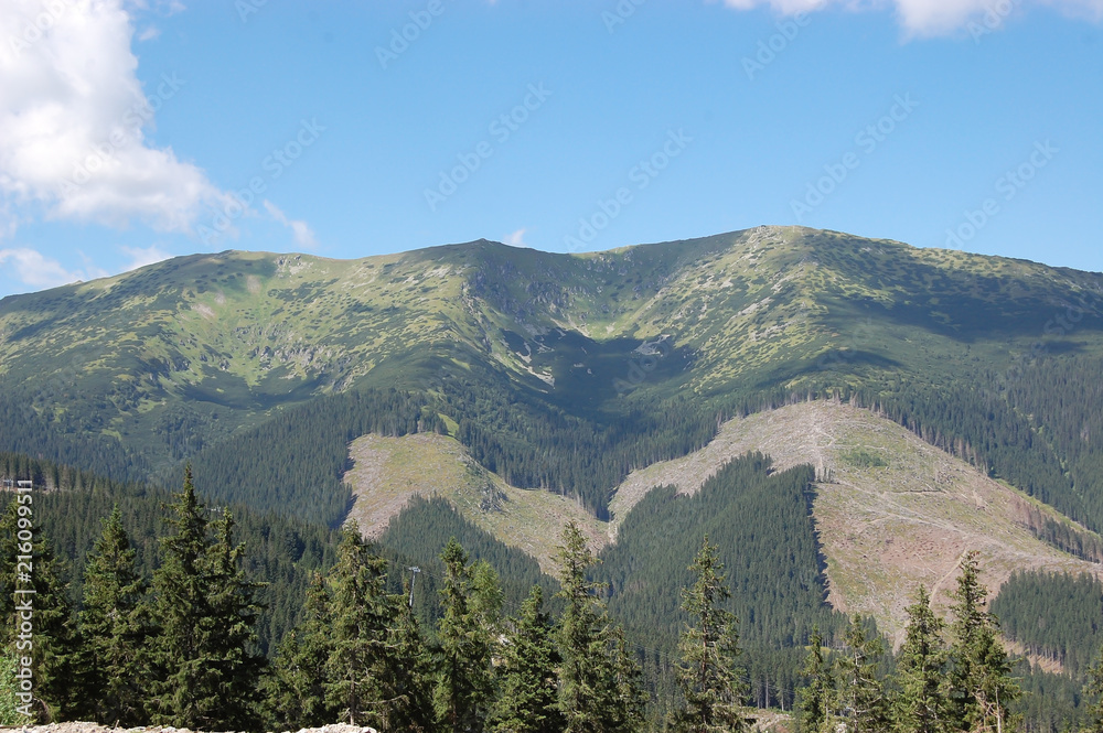 Summer landscape with green mountains in the Low Tatras, Slovakia. Summer landscape with green mountains in the Low Tatras, Slovakia.