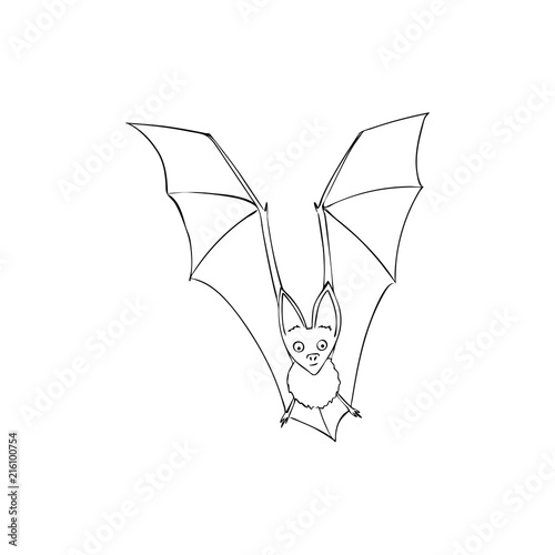 Bat is a nocturnal animal. A symbol of Halloween. The bat in flight