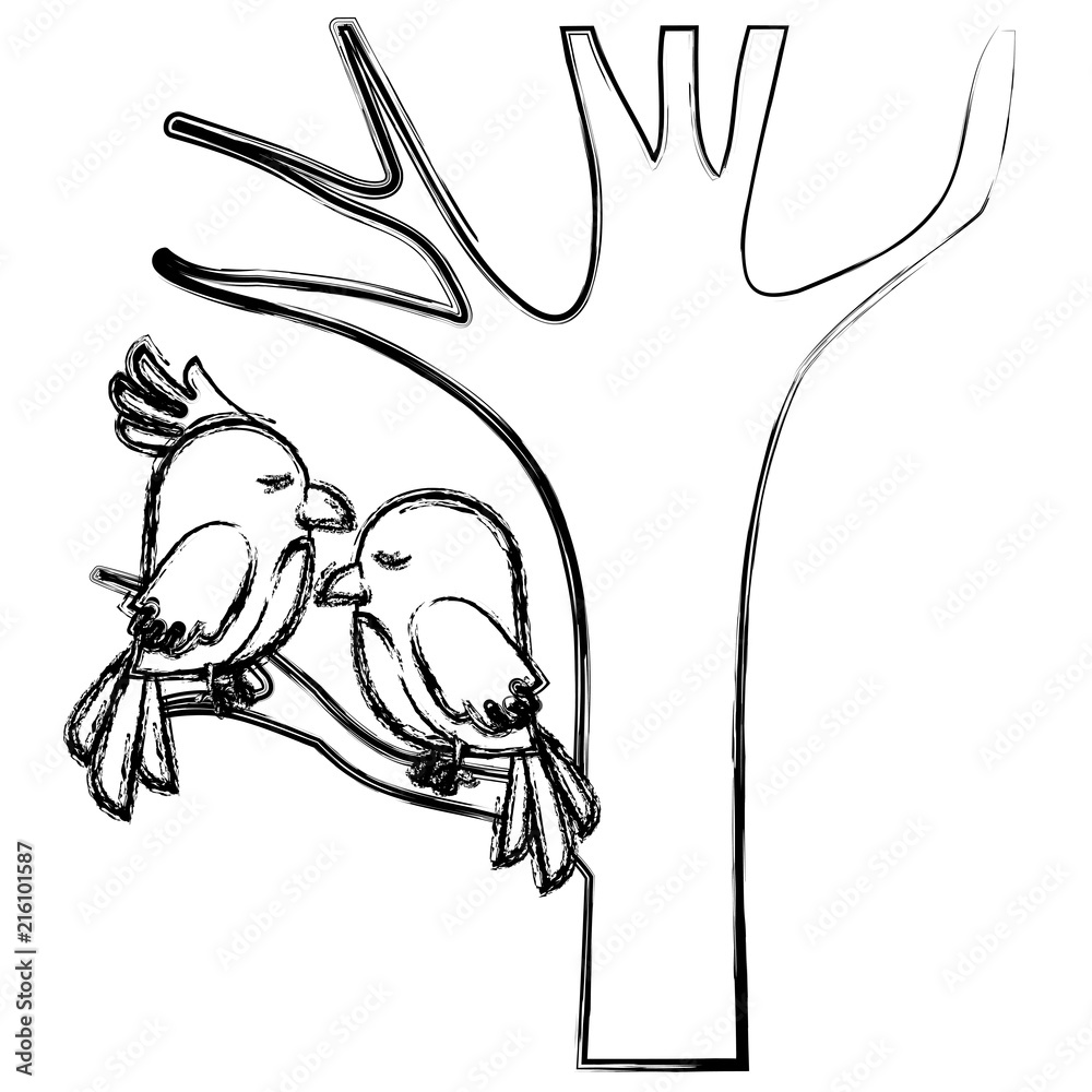 cute birds couple in tree vector illustration design