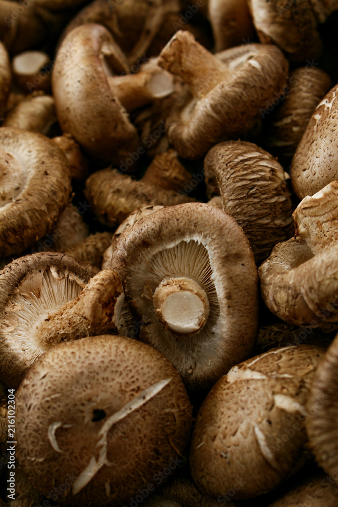 fresh uncooked mushrooms fresh uncooked mushrooms
