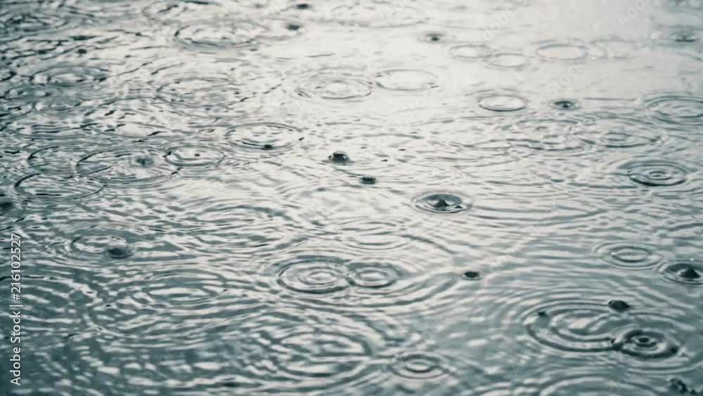 background of drops of drizzly summer rain falling on the asphalt, abstract pattern of splashes of water, concept weather and nature