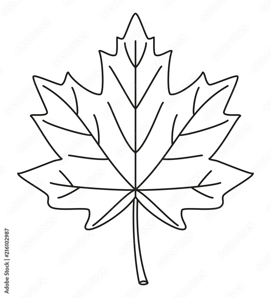 Line art black and white maple leaf Stock Vector | Adobe Stock