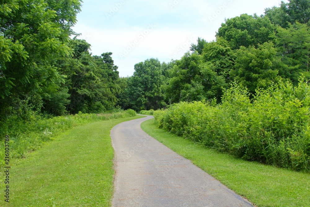 The winding pathway in the green grass landscape of park.