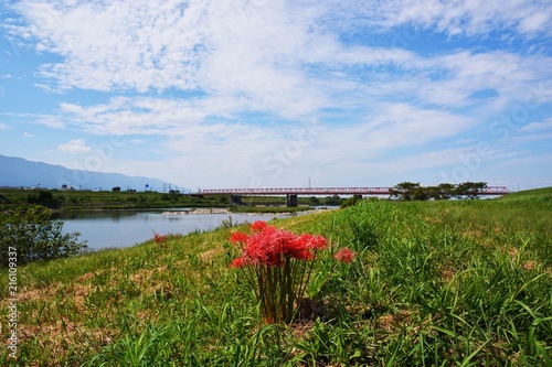 Scenery of the river side