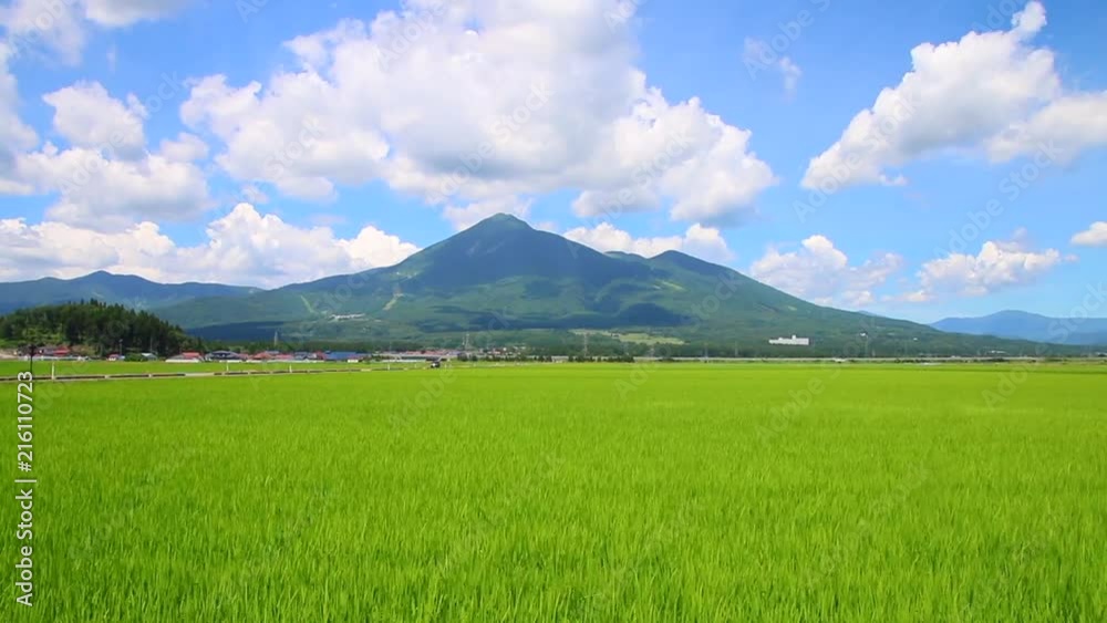 夏の磐梯山と田んぼ(福島県・猪苗代町) 夏の磐梯山と田んぼ(福島県・猪苗代町)