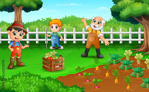 farmers are harvesting the results of their plantations