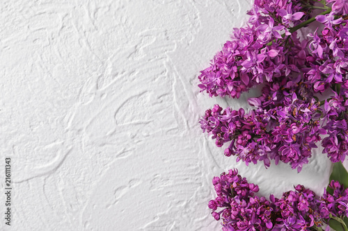 Beautiful blossoming lilac on light background