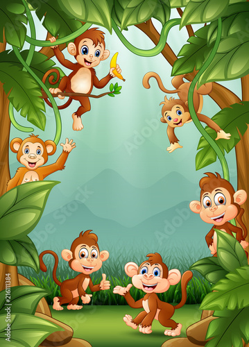 Fototapeta Naklejka Na Ścianę i Meble -  The little monkeys happy in jungle