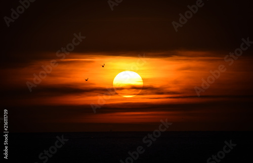 Photography Sunset with birds in the front