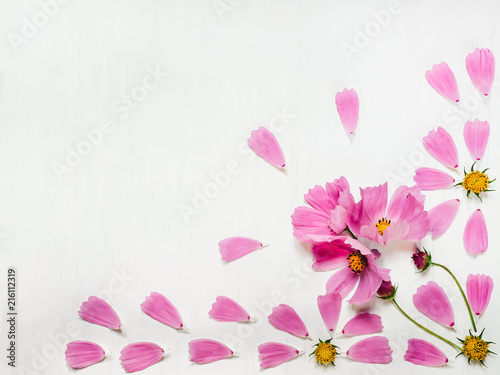 Pink petals of a beautiful flower, laid out on a white, wooden table. Top view, close-up, isolated. Congratulations on holidays for loved ones, relatives, friends and colleagues