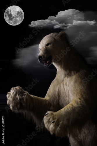 The polar bear stands full-length on a moonlit night
