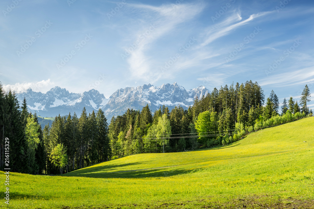 Landschaft mit Wiese und Wilder Kaiser Gebirge im Hintergrund