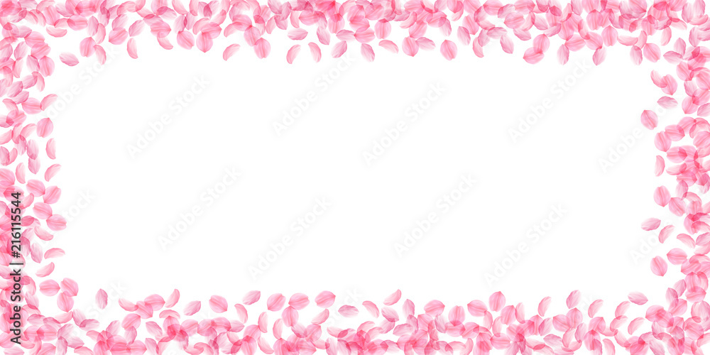 Sakura petals falling down. Romantic pink silky medium flowers. Thick flying cherry petals. Wide sca Sakura petals falling down. Romantic pink silky medium flowers. Thick flying cherry petals. Wide sca
