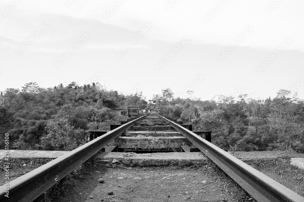 Obraz premium old wood railroad train transportation landscape black and white