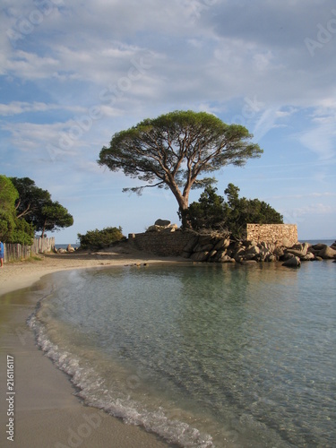 Fototapeta Naklejka Na Ścianę i Meble -  Palombaggia Beach - Corsica - France