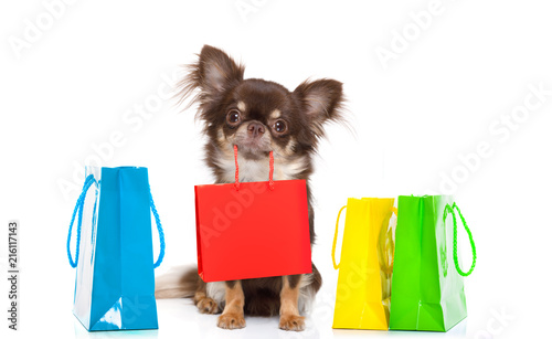 shopping dog with bag