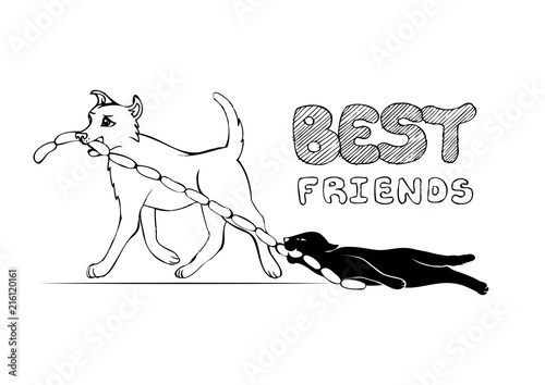 Cat and Dog cartoon characters. Best friends forever, vector illustration. Friendship funny sketch.