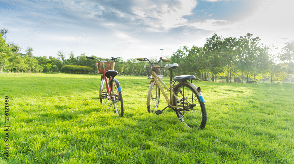Obraz premium Bicycle on green grass at public park.