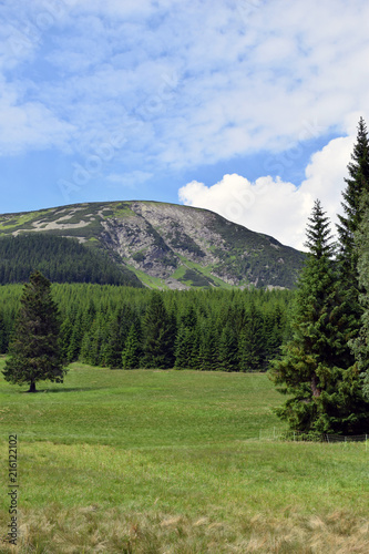 Mountains in the summer.