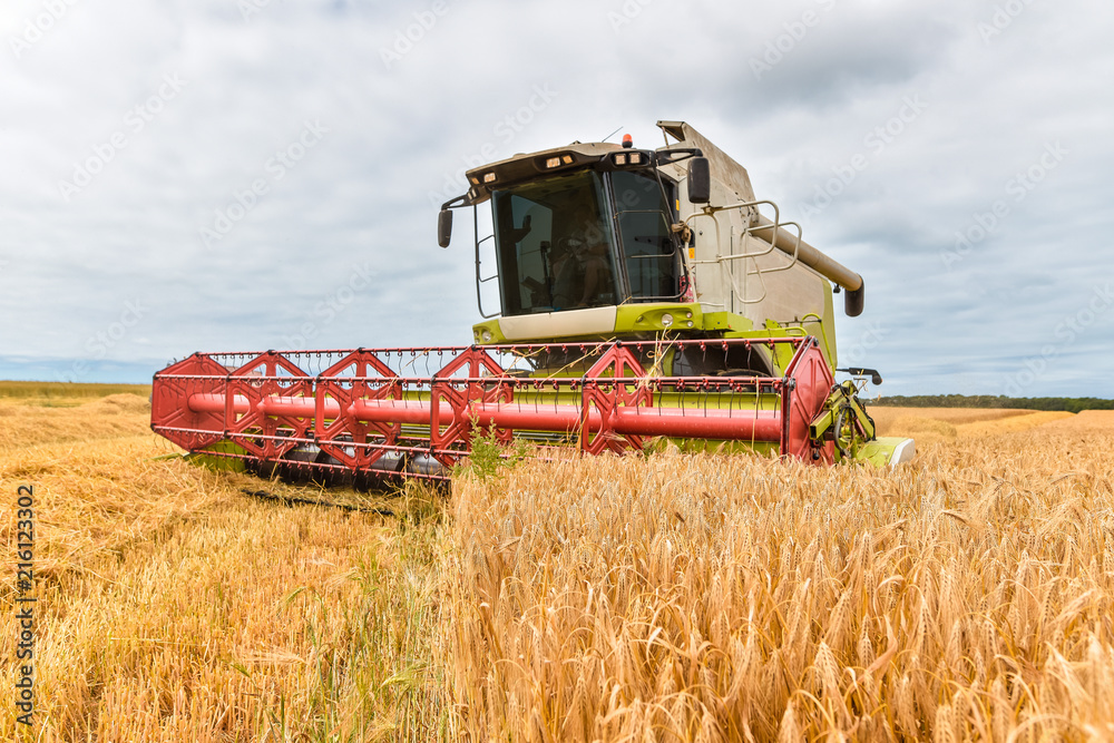 Fototapeta premium moissonneuse en action