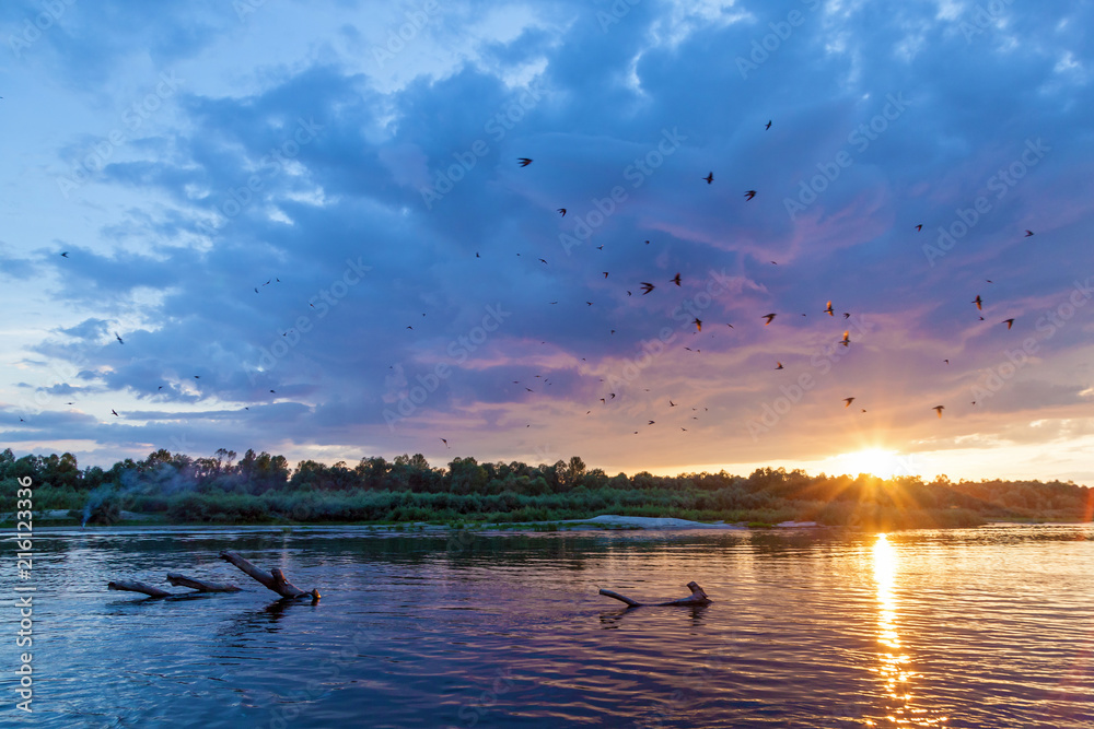 Fototapeta premium beautiful sunset over the river