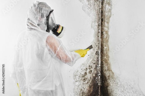 A professional disinfector in overalls processes the walls from mold with a spatula. Removal of black fungus in the apartment and house. Aspergillus.