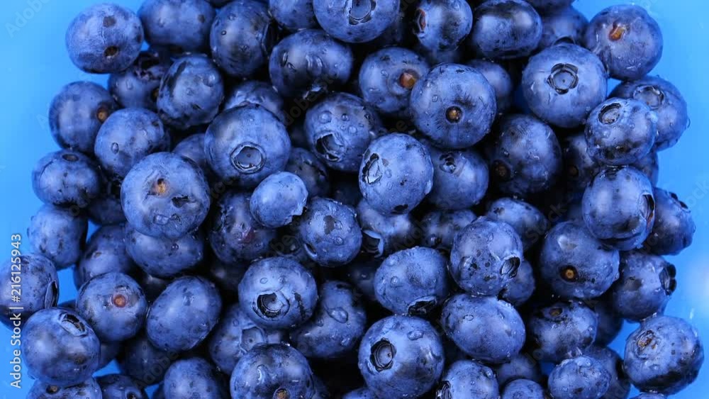 Fresh and juicy Blueberries, water drops falling from top, slow motion Fresh and juicy Blueberries, water drops falling from top, slow motion