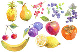 Fruit isolated on white background, watercolor illustration