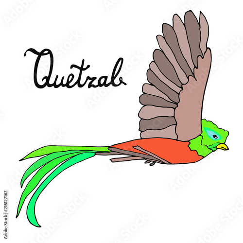 Flying quetzal bird with an inscription. Hand drawn sketch