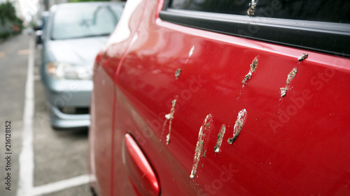 Bird feces on red car. Bird droppings on cars.