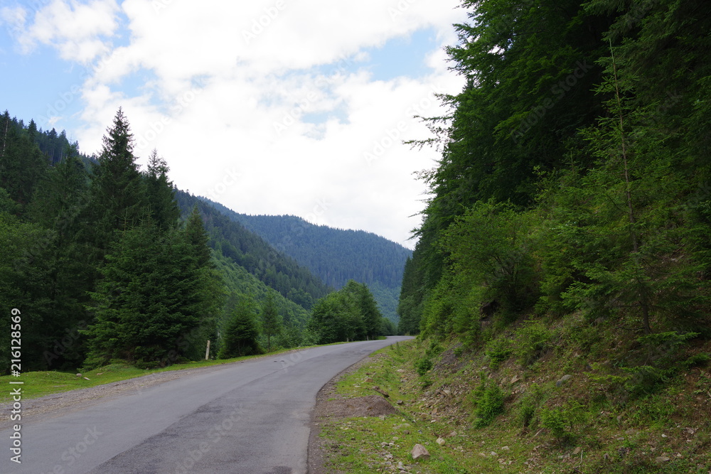Fototapeta premium road in the mountains among green trees