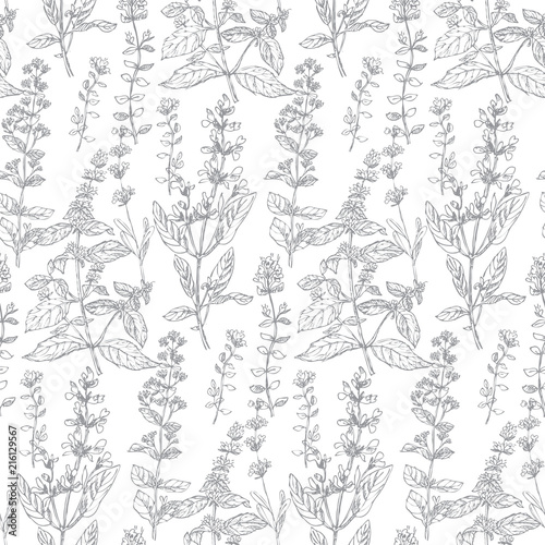 Hand drawn herbal sketch seamless pattern for background, wrapping paper, fabric, surface design. French grass for cooking in light repeatable motif. Floral stock illustration
