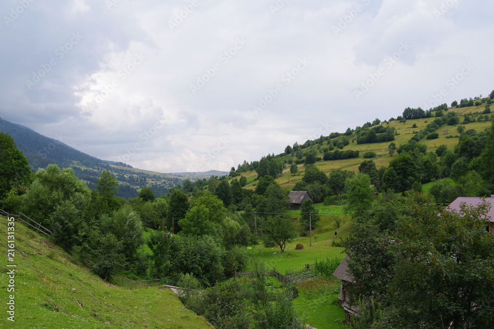 mountain landscapes among fields and green trees