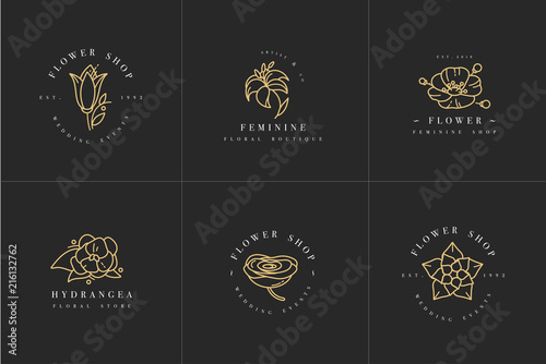 Vector feminine signs and logos, templates set. Floral Illustration-hydrangea, ranunculus, anemone and lily. Premium golden quality emblems.
