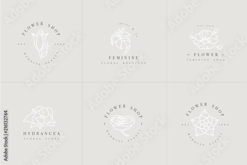 Vector feminine signs and logos, templates set. Floral Illustration-.hydrangea, ranunculus, anemone and lily. Premium quality emblems.