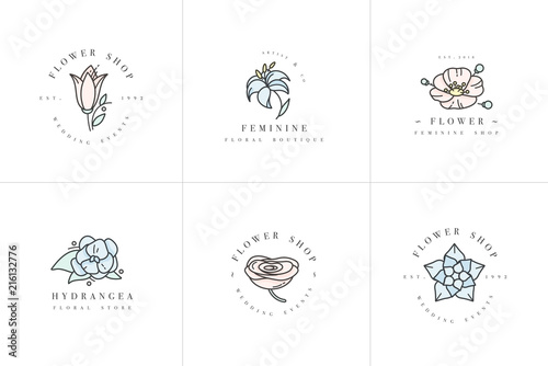 Vector feminine signs and logos, templates set. Floral Illustration-hydrangea, ranunculus, anemone and lily. Premium quality colorful emblems.