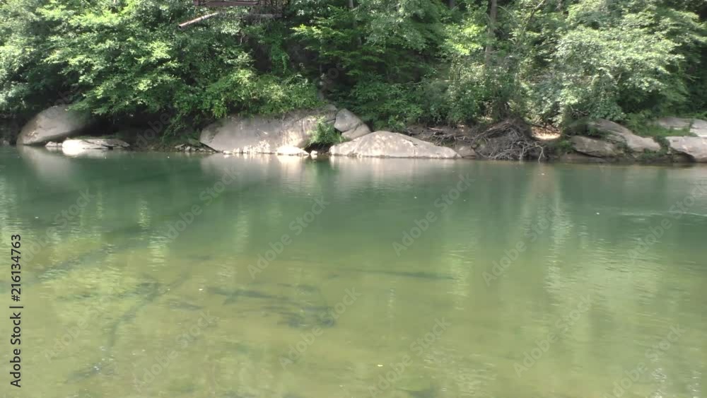 Georgia, Settles Bridge Park, A pan across a calm and green Chattahoochee River