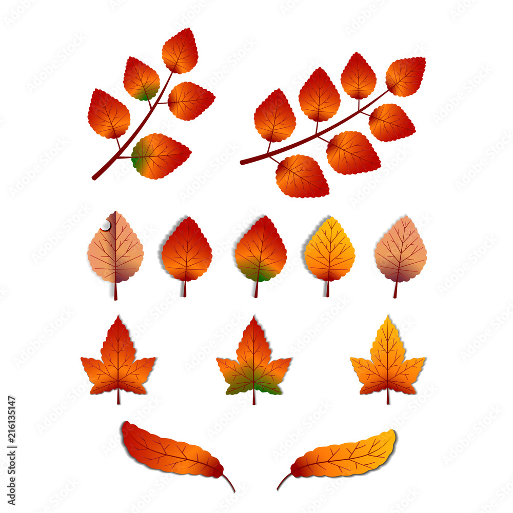 Obraz premium kind of realistic autumn fall