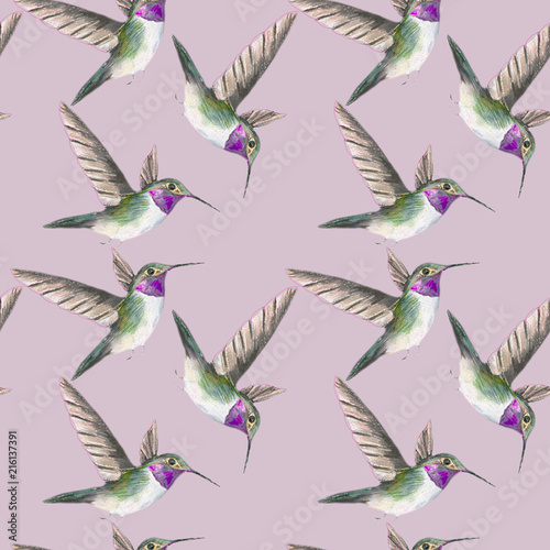 Hummingbird bird pattern. Seamless white pattern. Watercolor hand drawing background  texture  wrapper pattern  frame or border.
