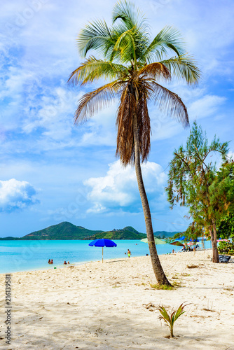 Fototapeta Naklejka Na Ścianę i Meble -  Valley Church Beach, paradise bay at tropical island Antigua in the Caribbean Sea