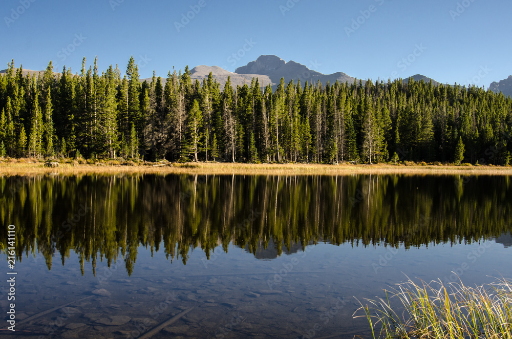 Pine Trees Reflect in Lake Horizontal